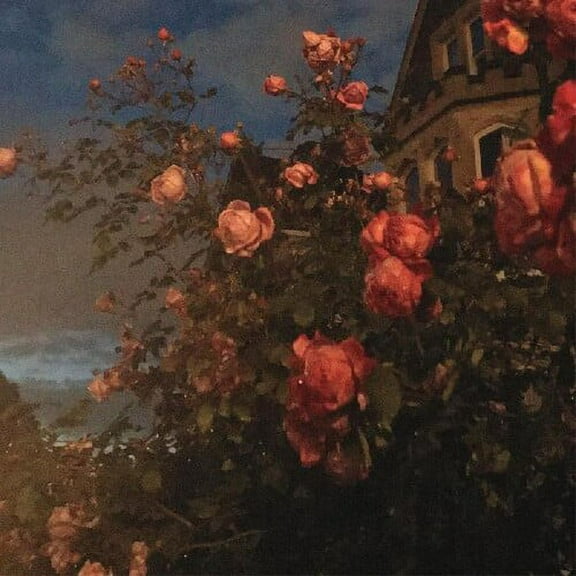 John Bence - Love - Music & Performance - CD