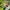 Silver, variant on Pruning Shears Stainless Steel Pruning Shears Garden Shears for Gardening,Garden Clippers,Gardening Tools Scissors Trimming Plants Picking Fruits