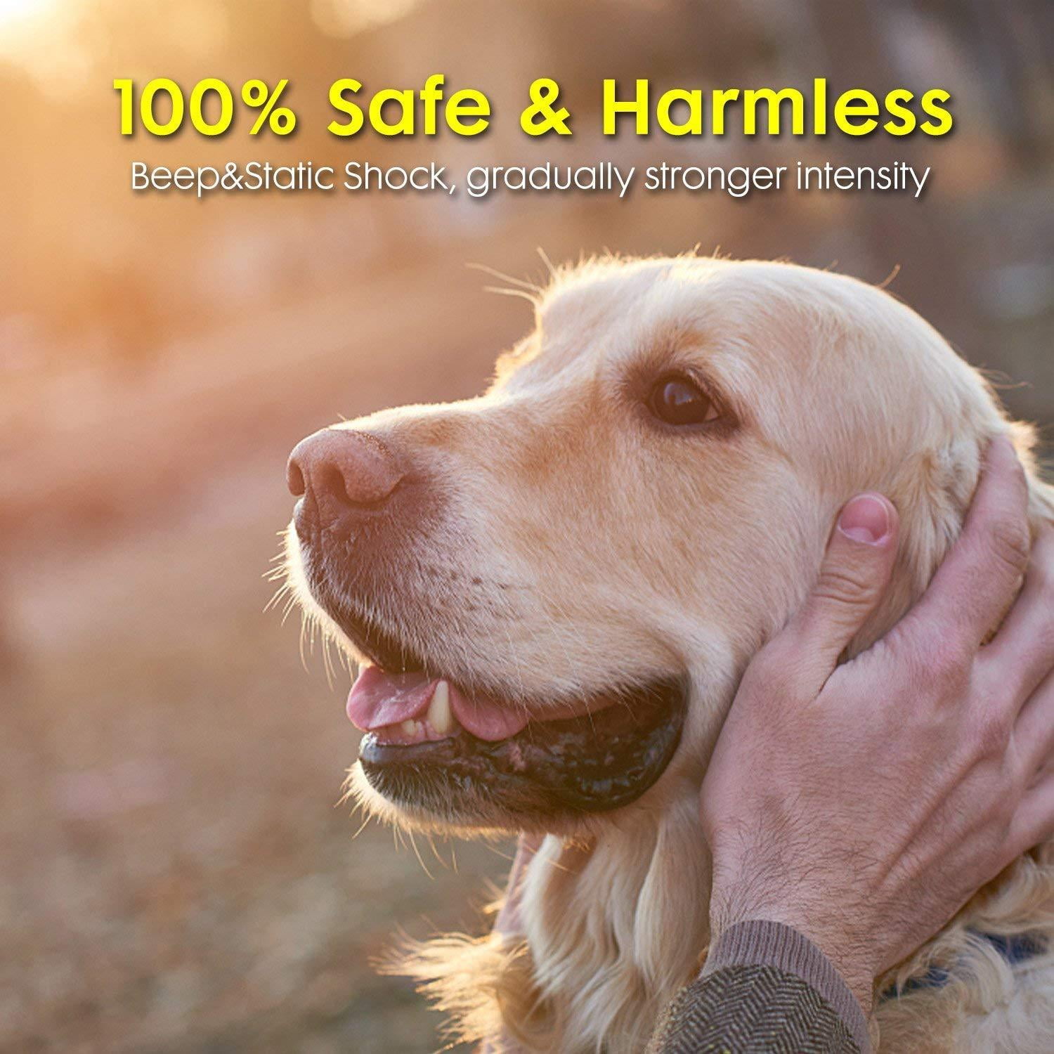 wireless dog fence range