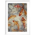 thumbnail image 2 of Art.com Vibrant Koi II Art Print by Tim O'toole, White Frame Wall Art, 21" x 29", 2 of 5