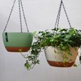 thumbnail image 3 of Paniers Suspendus pour Fleurs Pot Hoppet Support Mural Auto-Absorbant Bassin d'Eau Crochet Radis Résine Absorbant Orchidée Panier Suspendu, 3 of 15