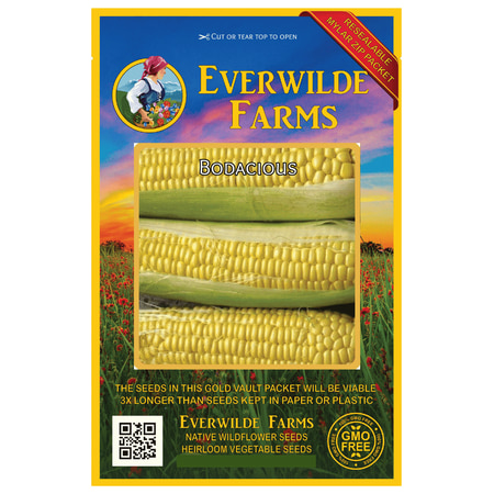 Everwilde Farms - 100 Bodacious F1 Hybrid Yellow Sweet Corn Seeds - Gold Vault Jumbo Bulk Seed