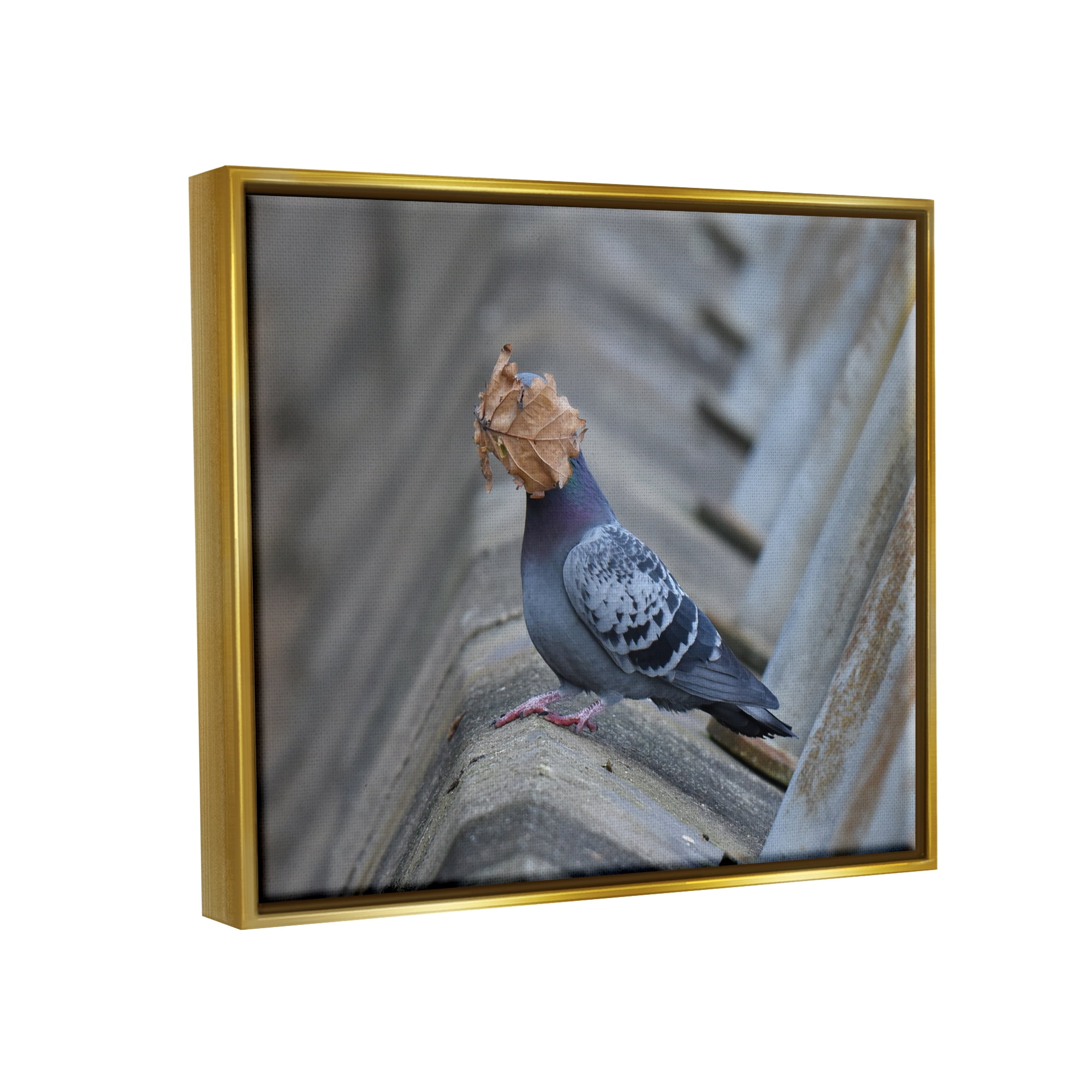 Stupell Industries Funny Leaf in Pigeon's Face Animals & Insects Photography Gold Floater Framed Canvas Art Print Wall Art, 31 x 25