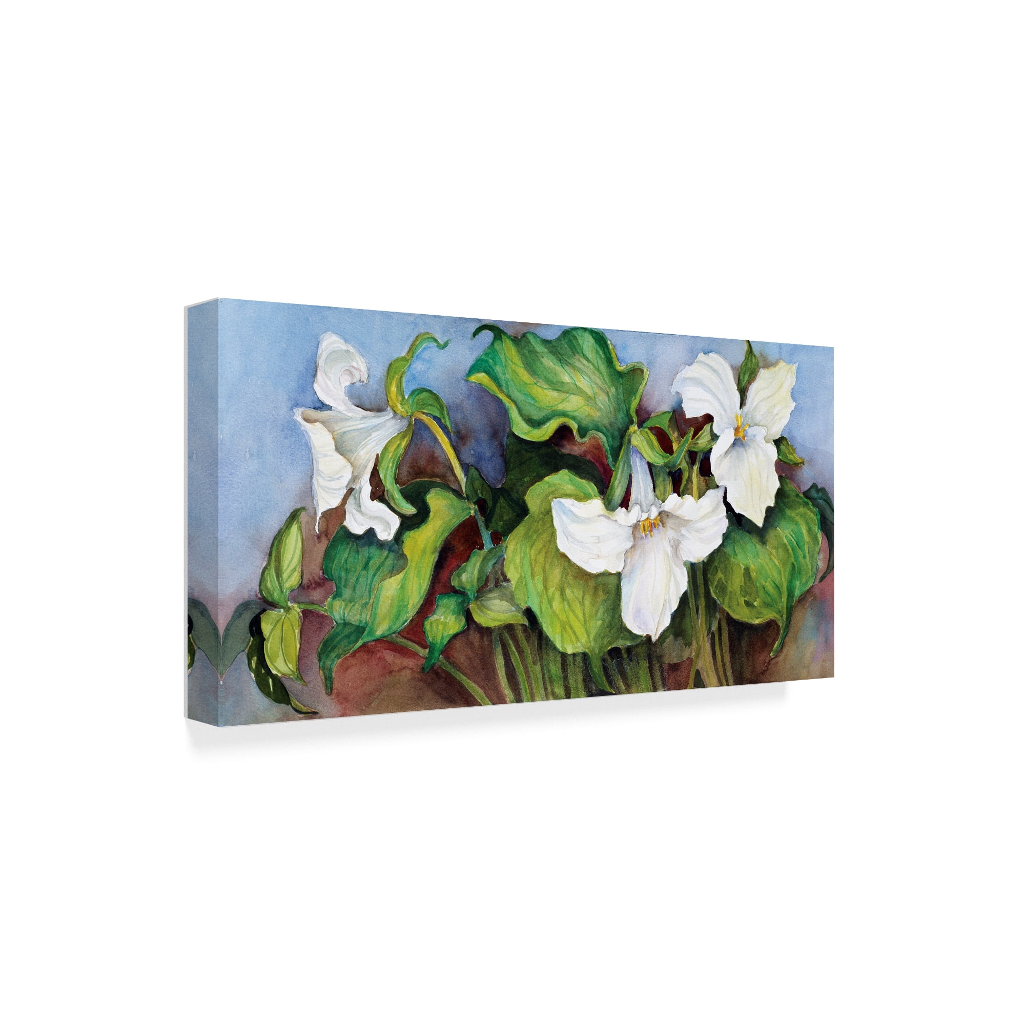 Trademark Fine Art 'Woodland Trillium White' Canvas Art by Joanne Porter