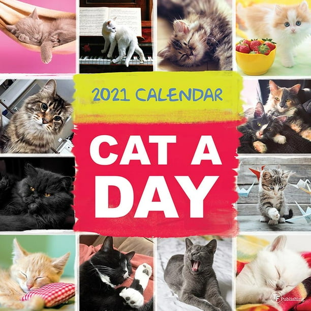 2021 Cat-A-Day 12"x12" Wall Calendar - Walmart.com ...