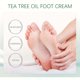 thumbnail image 5 of Puntoco Crema para pies hidratante y humectante con aceite de té verde 50 g, 5 of 5