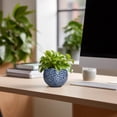 thumbnail image 6 of Ordivic 4 inch Blue Ceramic Planter Pot with Drainage Hole & Saucer, Mini Indoor Succulent Plant Pot for Trailing Pilea Peperomia Ivy ZZ Plant,Bedroom Desk Apartment Decor, 6 of 7