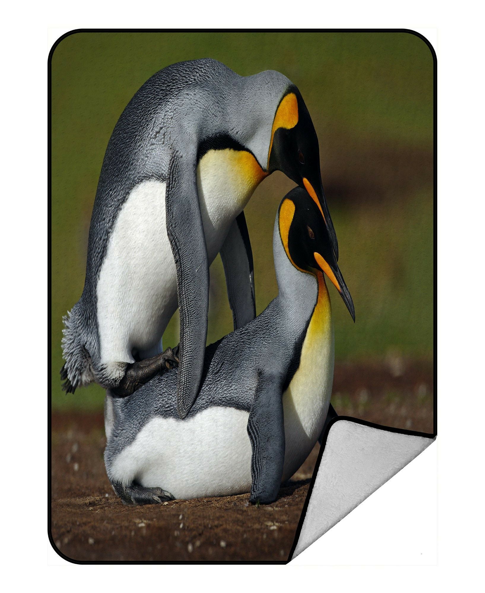 Eczjnt Penguins Wild Birds Wildlife Falkland Island Atlantic Ocean Throw Blanket Fleece Blankets Plush Blanket 58x80 Inch Walmart Com Walmart Com