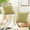 Green, variant on Ywbawe Solid Color Flock Bean Bag Lumbar Pillow Cushion Sofa Bed Car Office Back Support 40x40cm 1-Piece