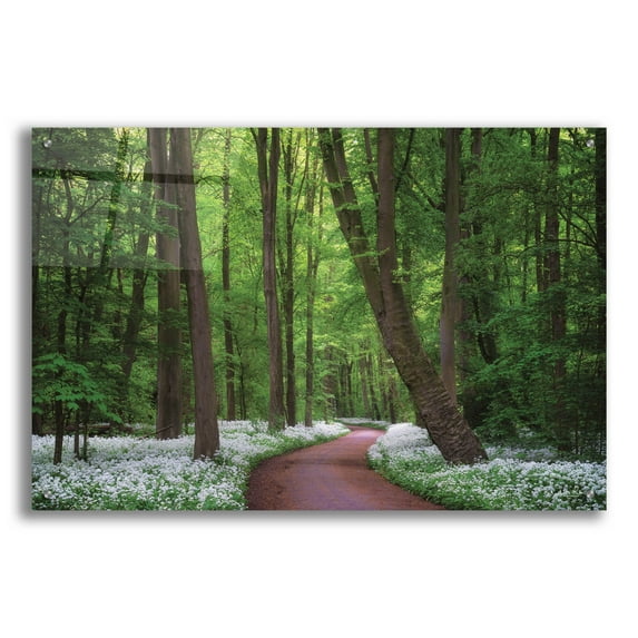 Epic Art 'Fragrant Road' by Martin Podt, Acrylic Glass Wall Art, 36"x24"