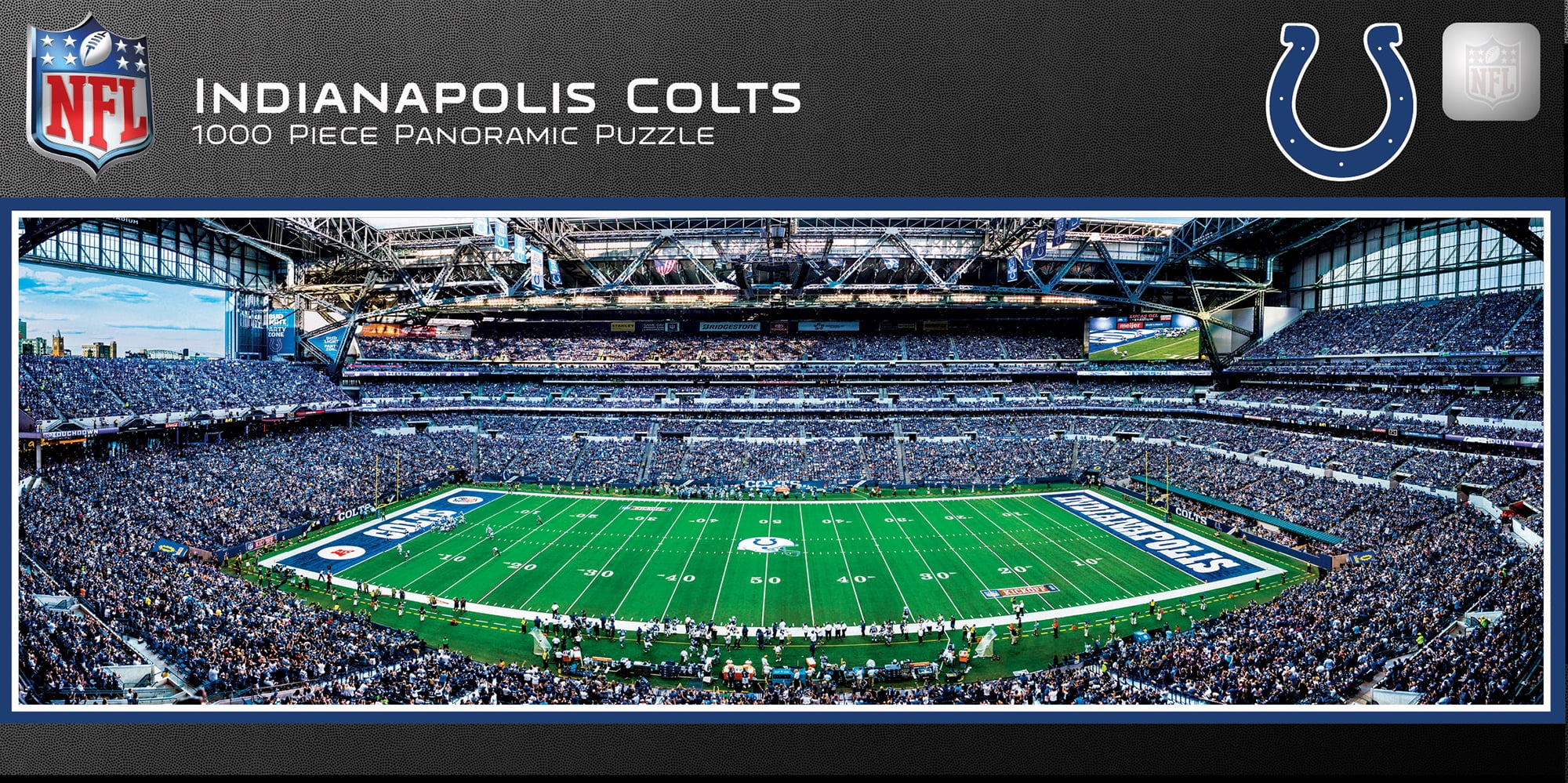 Miami Dolphins 1000-Piece Panoramic Puzzle