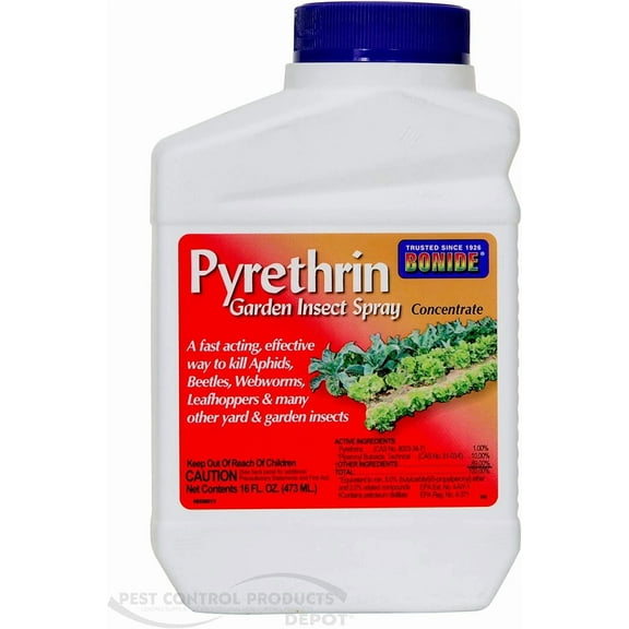 Pyrethrin Bonide Garden Insect Spray Concentrate 16 oz