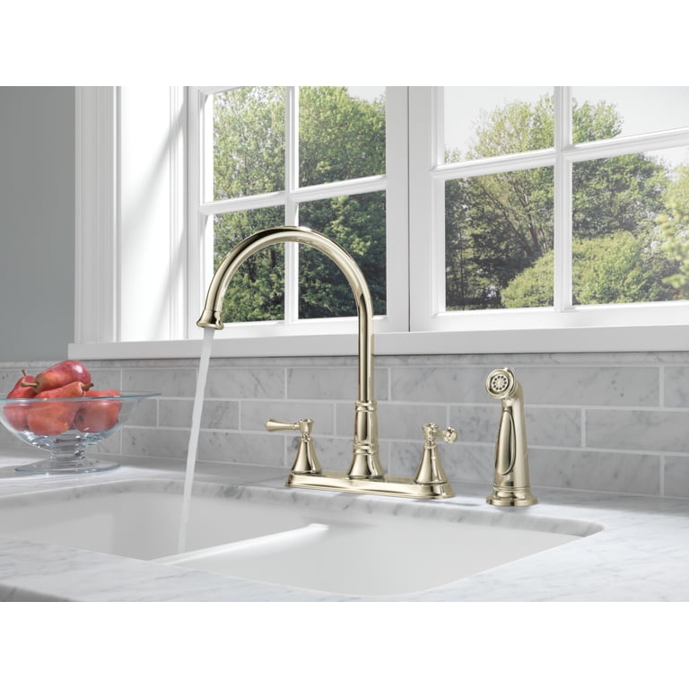 ナリタ　薄端 2点セット Delta Cassidy Two Handle Kitchen Faucet with Spray, Champagne