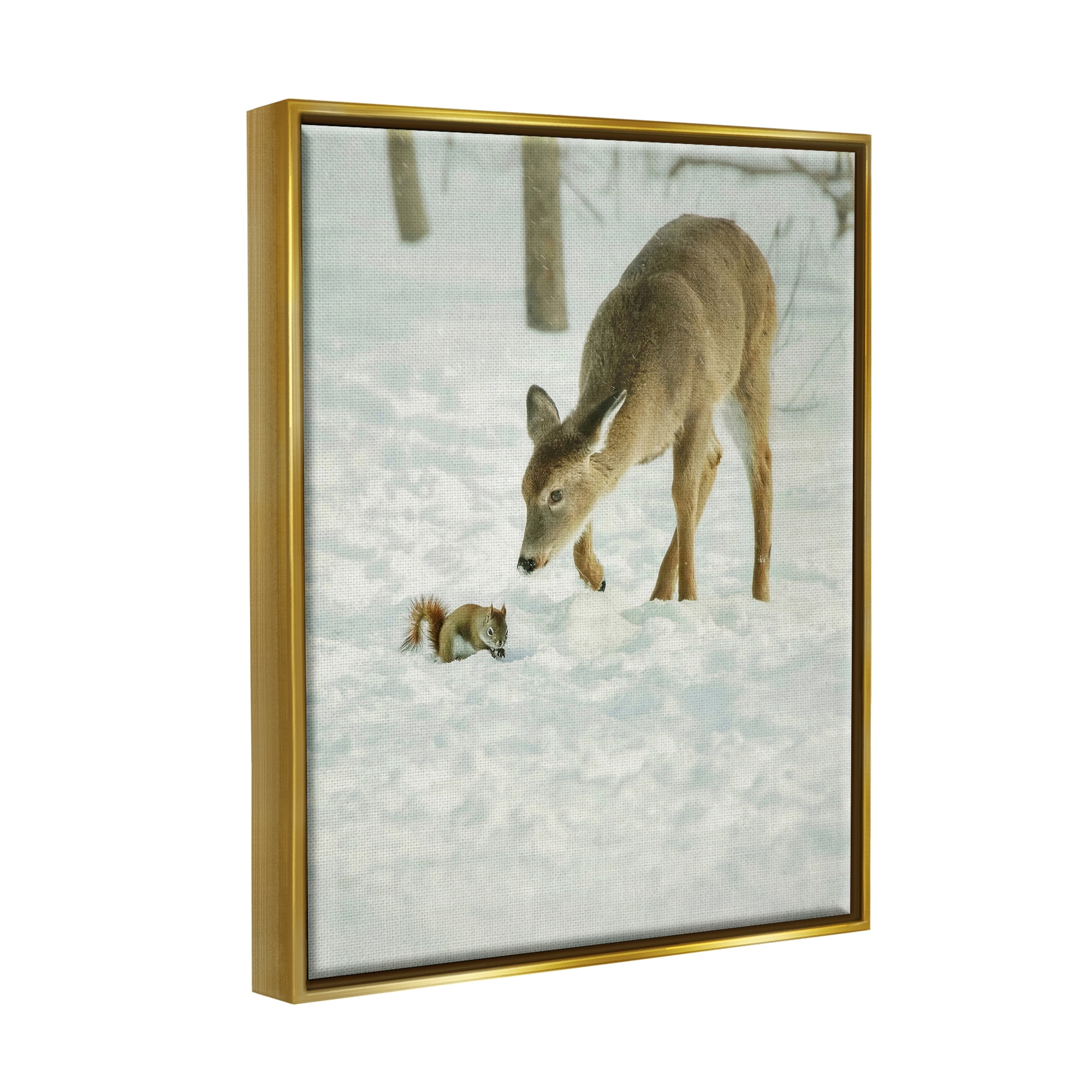 Stupell Industries Deer & Squirrel Snow Scene Animals & Insects Photography Gold Floater Framed Art Print Wall Art