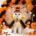 thumbnail image 4 of Halloween Pet Costume Set, Cute Witch Hat & Pumpkin Collar, Cloak & Bat Wings Dress-Up Accessories For Cats & Small Dogs Holiday Party, 4 of 6
