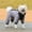 Grey, variant on KTMKH Dog Jacket Dog Winter Coat Small Medium Large Dogs Snow Jacket Waterproof French Clothes Warm Windproof Puppy Snowsuit Outfit Cold Weather Pet Apparel