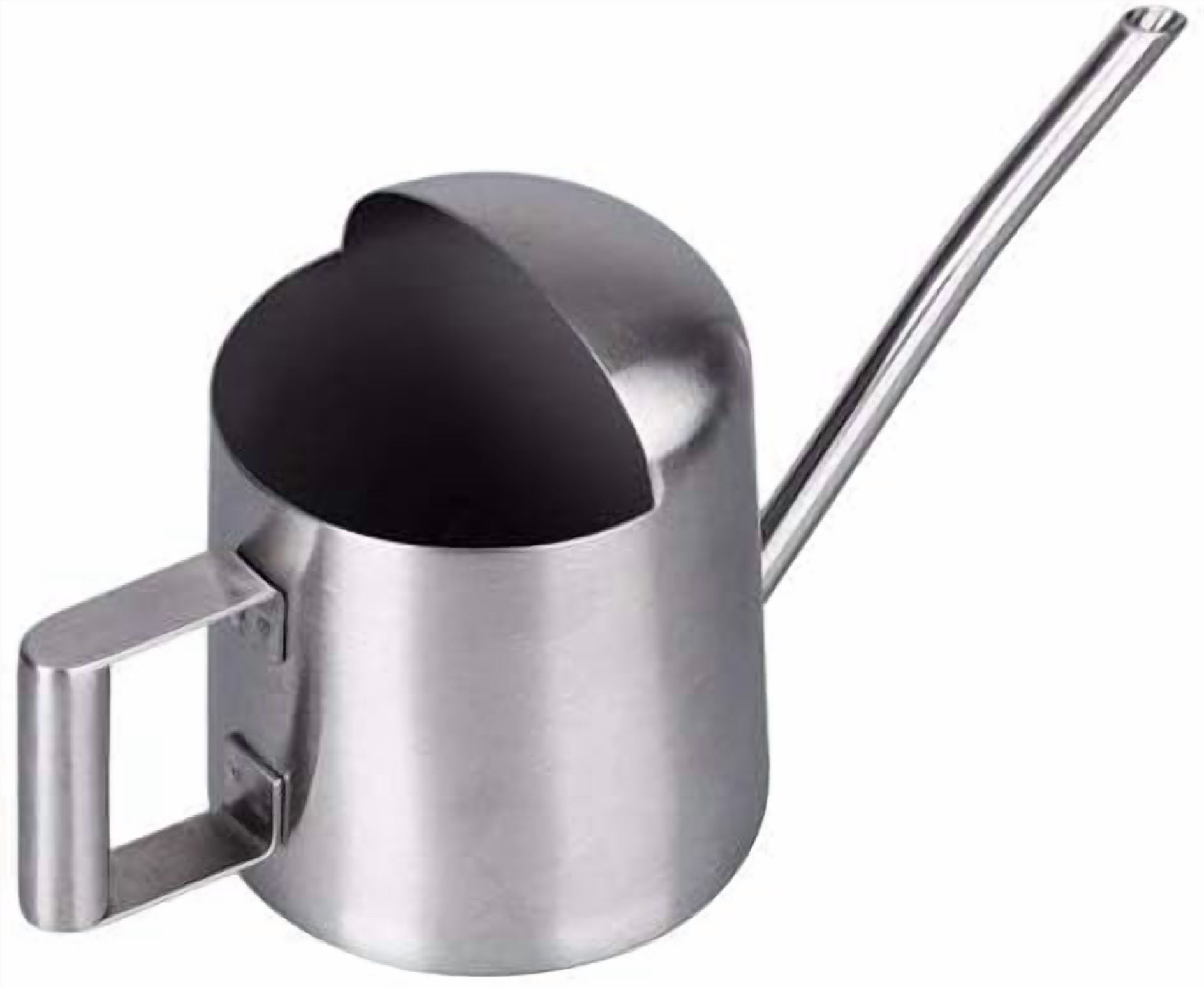 Mini Watering Can for Indoor Plants Stainless Steel Small Watering Can 11oz/300ml