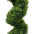 thumbnail image 2 of Vickerman 5' Artificial Potted Green Boxwood Spiral Tree., 2 of 7