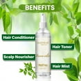 thumbnail image 3 of Hasthkar Premium Henna Water Hair Toner For Men & Women | Anti-Dandruff Hair Care Toner, 100% Pure and Natural (200ml)(Pack of 2), 3 of 6