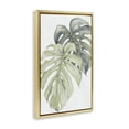 thumbnail image 3 of Stupell Industries Philodendron Monstera Leaves Gold Framed Floater Canvas Wall Art design by Errico & Slyp, 31 x 21, 3 of 9