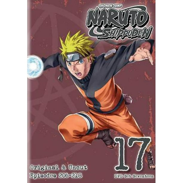 Naruto: Shippuden - Coffret 17 DVD