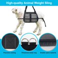 thumbnail image 4 of Cabestrillo para pantorrillas Boyistar para pesar animales, 136 kg de capacidad, 4 of 7