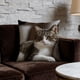 thumbnail image 5 of Uuiauoio Cat Pillow Covers 18x18, Cats Lovers Lady Gifts, Cat Gifts for Mom Mother's Day, Cats Decorative Pillow Covers for Home Bedroom Living Room Office Decor, 5 of 6