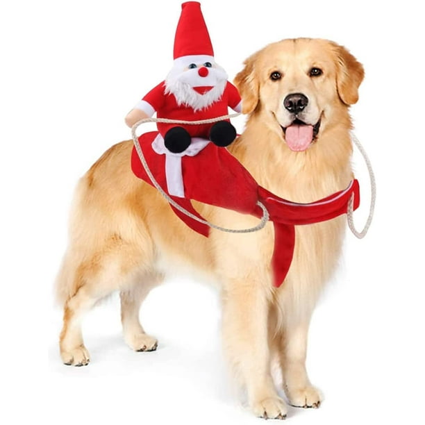 Dog 2025 dress christmas