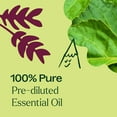 thumbnail image 2 of Plant Therapy Patchouli Essential Oil Roll-On, 100% Pure, Natural Aromatherapy 10 mL (1/3 oz), 2 of 9