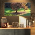 thumbnail image 1 of Arbre d'Automne Solitaire - Impression sur Toile Paysage, 1 of 3