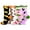 Fruits, variant on TeeHee Women's Foods Theme Cotton Crew Socks 4-Pack (Fruits)