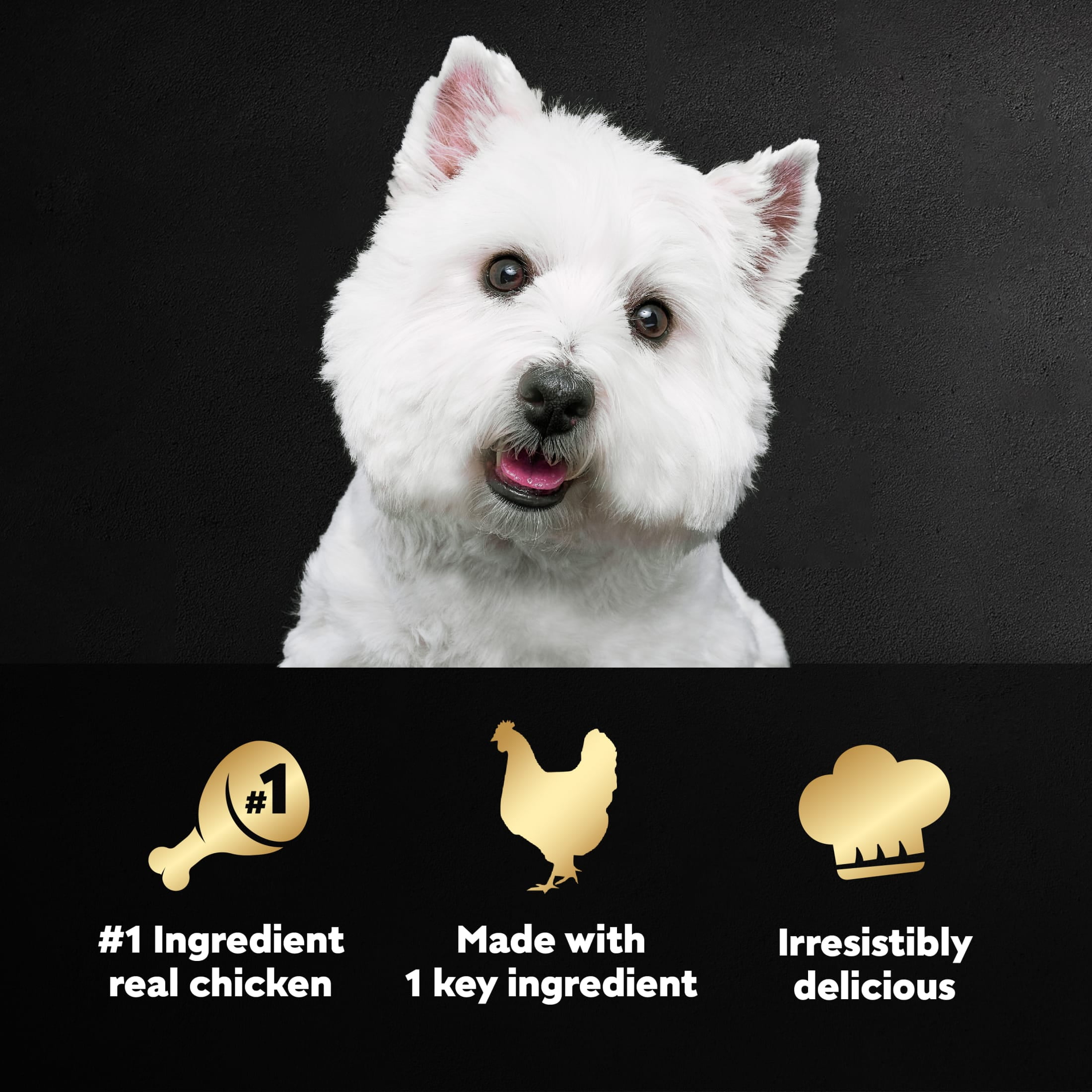 Cesar Simply Crafted Chicken Wet Dog Food, 1.3 Oz Tub
