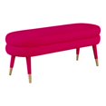 thumbnail image 1 of TOV Furniture Betty 19"H Transitional Velvet and Stainless Steel Bench in Pink, 1 of 5