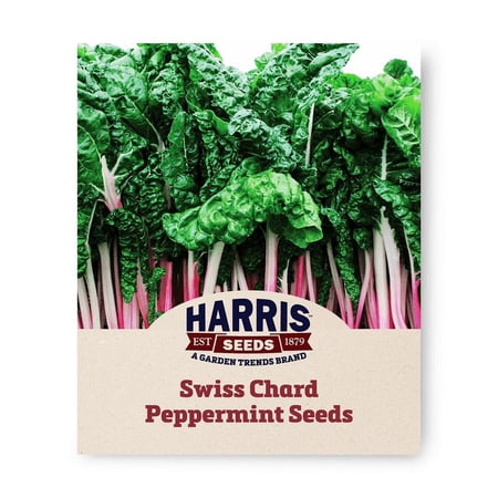 Harris Seeds Peppermint Swiss Chard Pink Stemmed Leafy Green for Baby or Full Harvest Non-GMO 50 Count