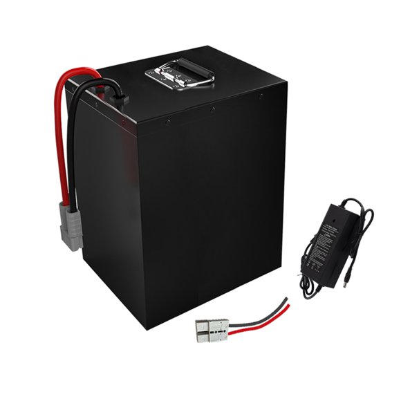 Avec Chargeur 5A Batterie 60V 60Ah Convient pour Vélo Électrique Moto Tricycle Basse Vitesse Quatre Roues VR Accepter Personnalisation 320x275x140