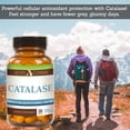 thumbnail image 7 of Catalase 12,500 Catu (500mg) Supplement Potent Antioxidant (Vegan) by Suzy Cohen, 7 of 7