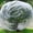 Clear #4, variant on Plants Freeze Protection Bag 94x82 Inch Reusable Winter Plants Cover for Shrubs Small Trees Rose Bushes - Transparent Anti Frost Plants Protector for Snow Cold Weather Garden Outdoor Use