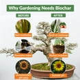 thumbnail image 6 of Premium Biochar Soil Enhancer – 100% Organic Charcoal Amendment for Improved Soil Health and Plant Growth 12 lbs, 6 of 7