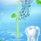 thumbnail image 4 of Cepillo Interdental Limpieza Dientes Suave Cuidado Bucal () Verde, 4 of 8