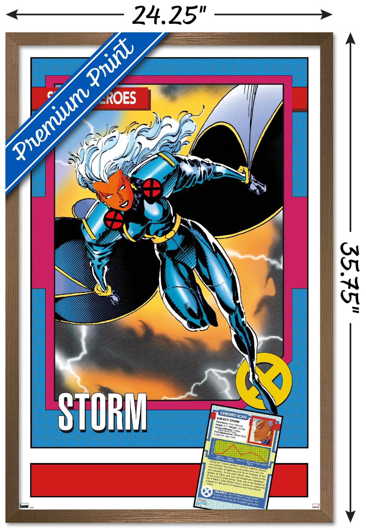 Marvel Trading Cards - Storm Wall Poster, 22.375" x 34" Framed