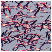 Deftones & Deftones (X) (20Th Anniversary/Ruby Red LP Vinyl) & Ohms & Gore (White LP Vinyl) & Koi No Yokan & Around The Fur (180G) & Adrenaline & Covers & Diamond Eyes