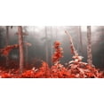 thumbnail image 2 of Palacios, J.A. 24x14 White Modern Wood Framed Museum Art Print Titled - Red forest 809, 2 of 4