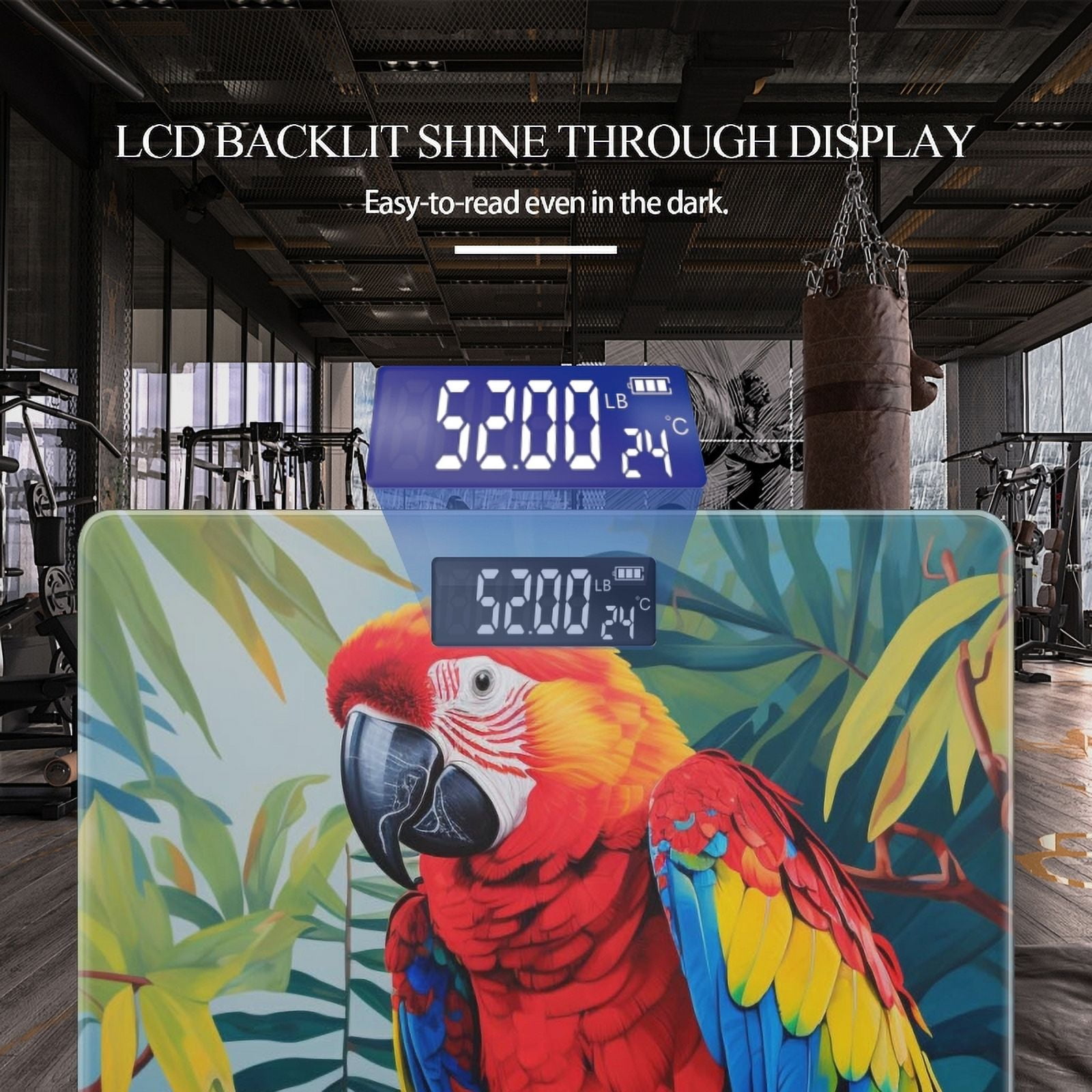 Digital Bathroom Scale with Large LCD Display,High Capacity Scale 400 lbs High Precision body fat scale-Colorful Parrot Perched On The Branch