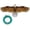 Eagle Kite with Reel, variant on Bald Eagle Kite for Adults and Kids, Huge Eagle Kites, Easy to Fly Hawk Kites for Boys, Single Line Kite for Beach Trip