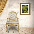 thumbnail image 3 of Talbot Frank, Christopher 20x23 Gold Ornate Wood Framed with Double Matting Museum Art Print Titled - CA, Sierra Nevada flowers in the High Sierra, 3 of 4