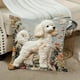 thumbnail image 5 of Funda de almohada con bordado de perro de pelo corto | Funda de cojín decorativa para sofá, sillón, 5 of 6
