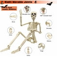 thumbnail image 5 of 2 Pack 36" Skeleton - 3 ft Life Size Human Skeleton with Full Body Posable Joints Plastic Skeleton for Skeletons Decor Yard Patio Lawn Garden Skeleton Props Spooky Party Decoration, 5 of 5