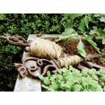 thumbnail image 4 of Esschert Design Ligne de Jardin W8052, 4 of 4