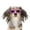 Pink, variant on PETLESO Pet Goggles Dog Sunglasses Windproof Anti-UV Goggle with Adjustable Flexible Strap for Small Dog