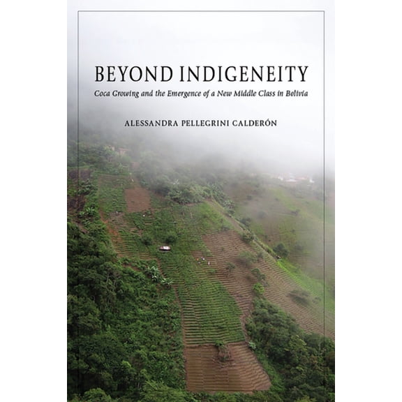 Beyond Indigeneity : Coca Growing and the Emergence of a New Middle Class in Bolivia (Hardcover)